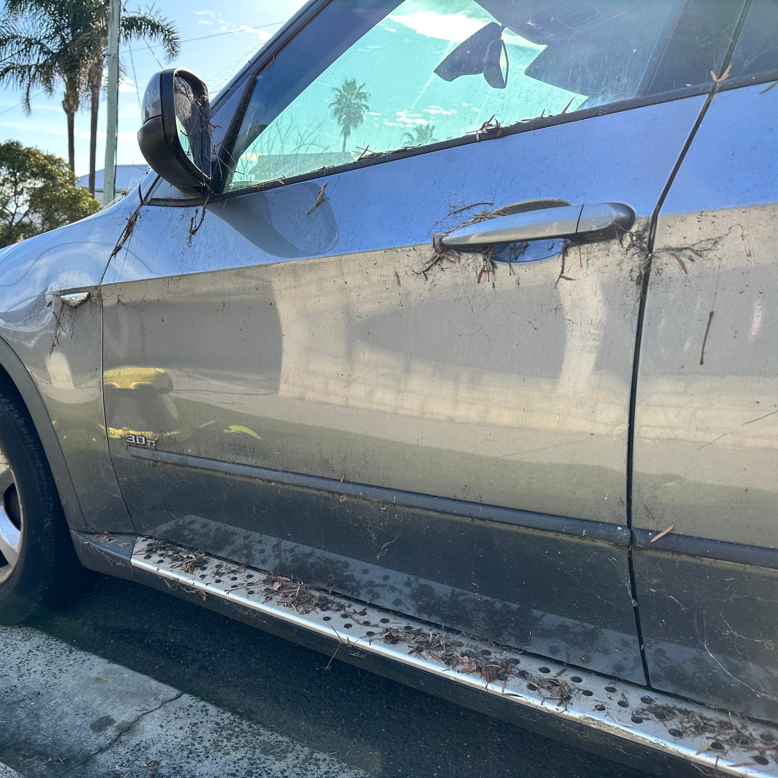 Car Exterior Detail - getneat