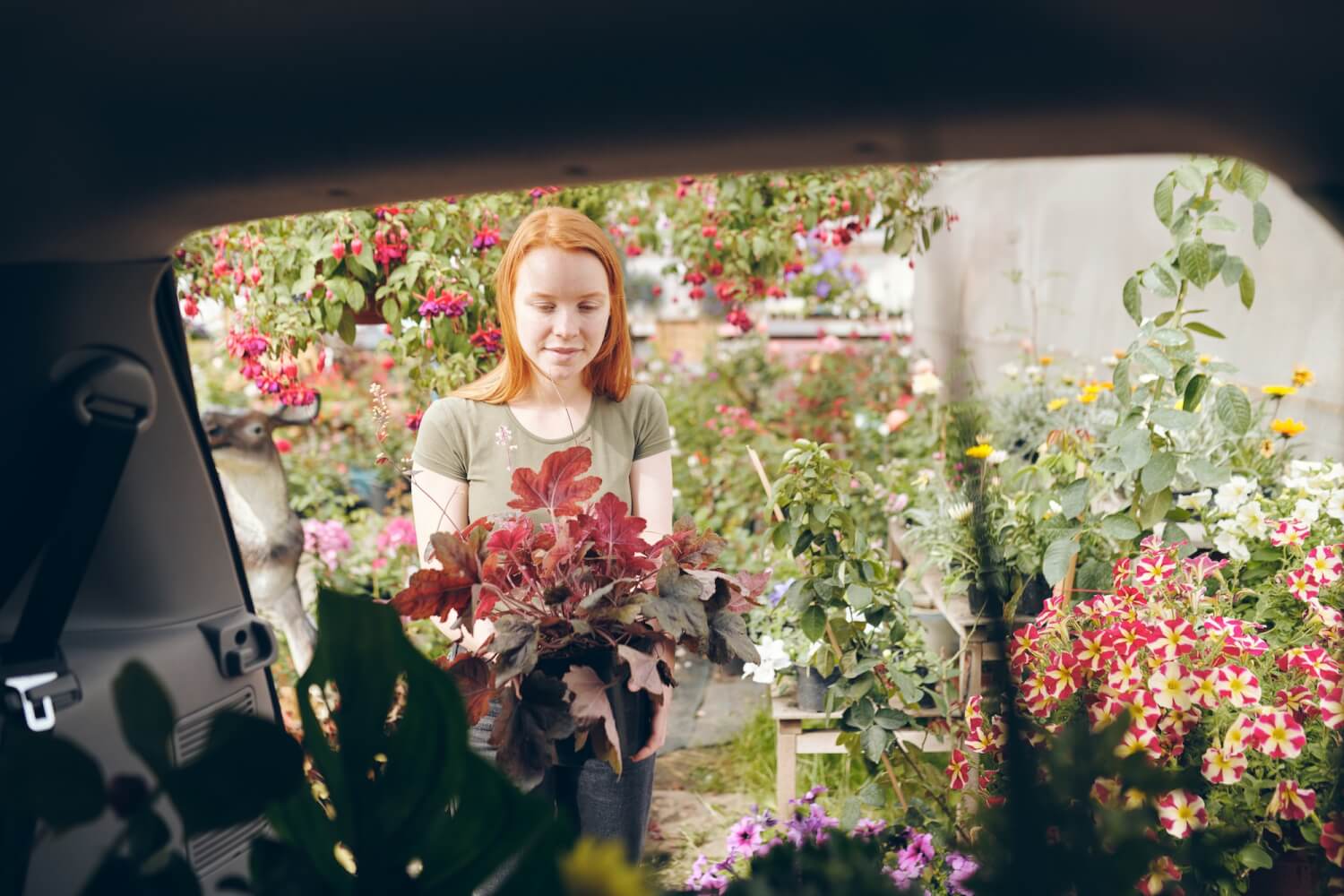 How to transport flowers and plants in a car