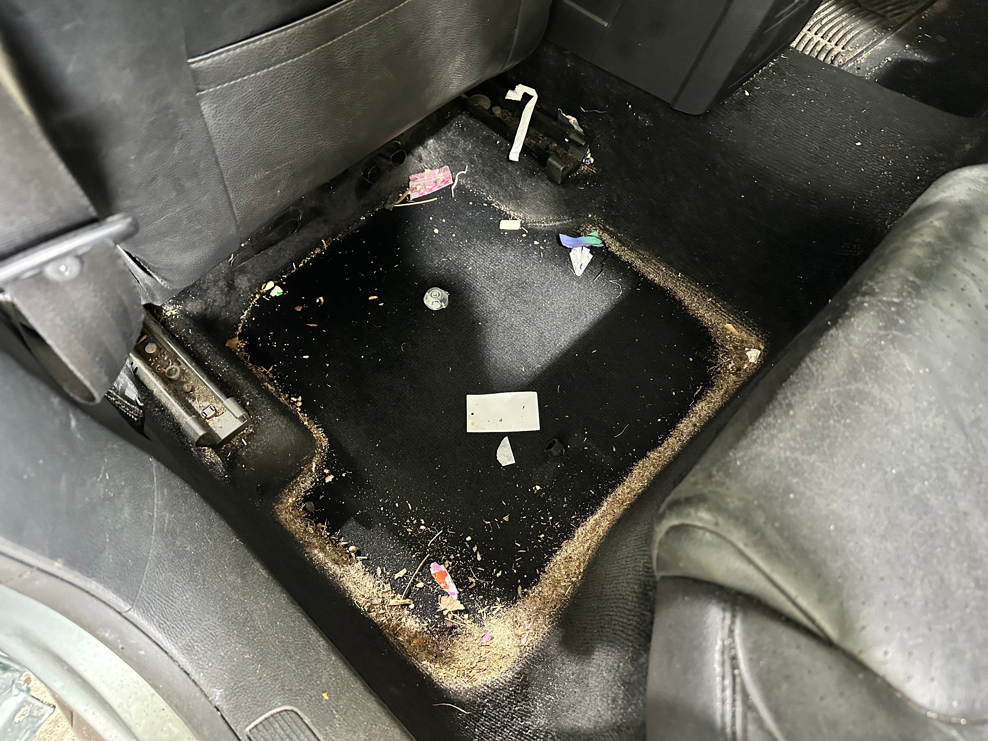 Steam Clean Car Carpet - getneat