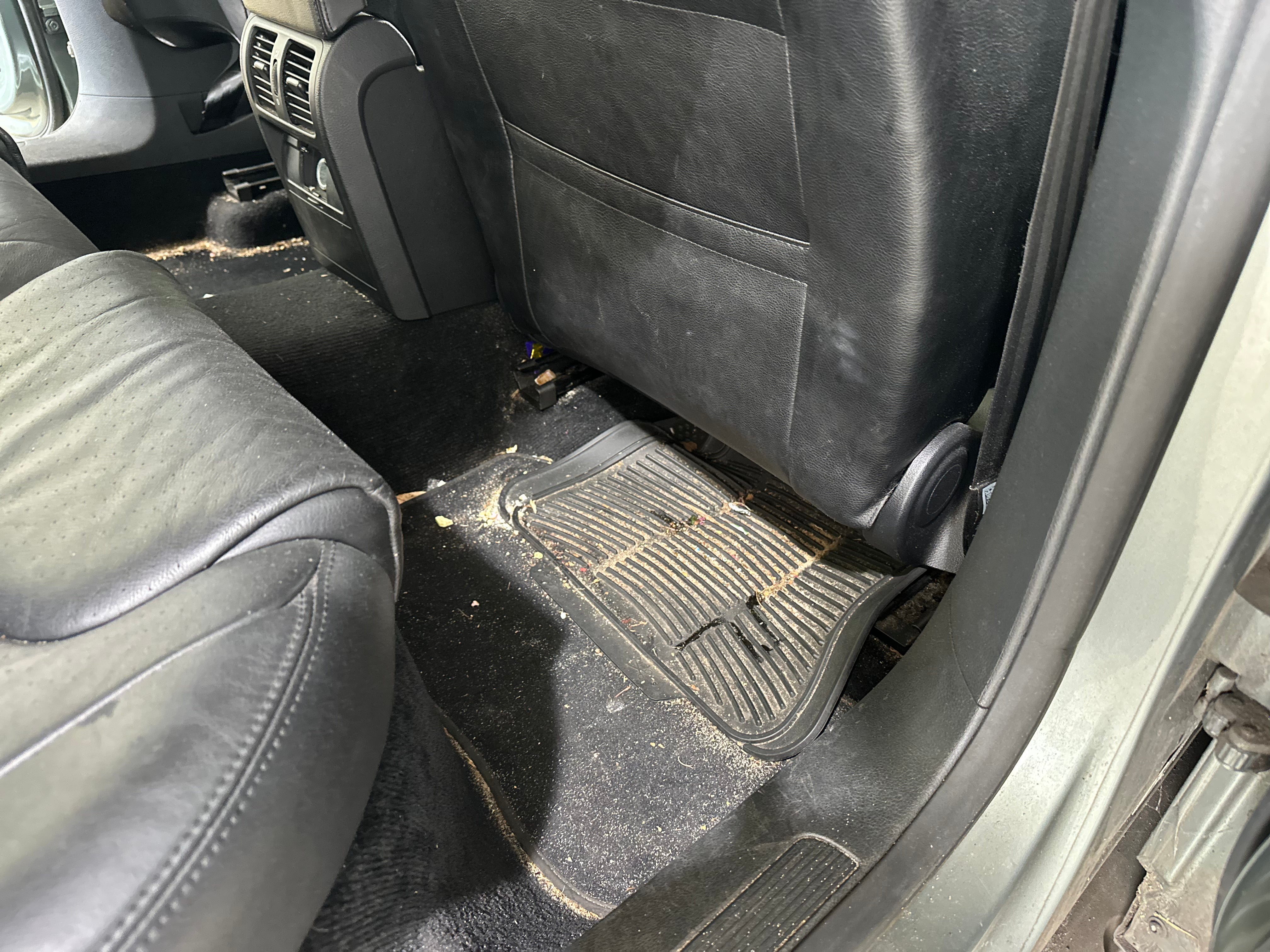 Steam Clean Car Carpet - getneat