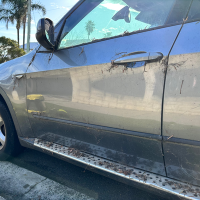 Car Exterior Detail - getneat