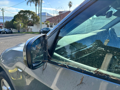 Car Exterior Detail - getneat