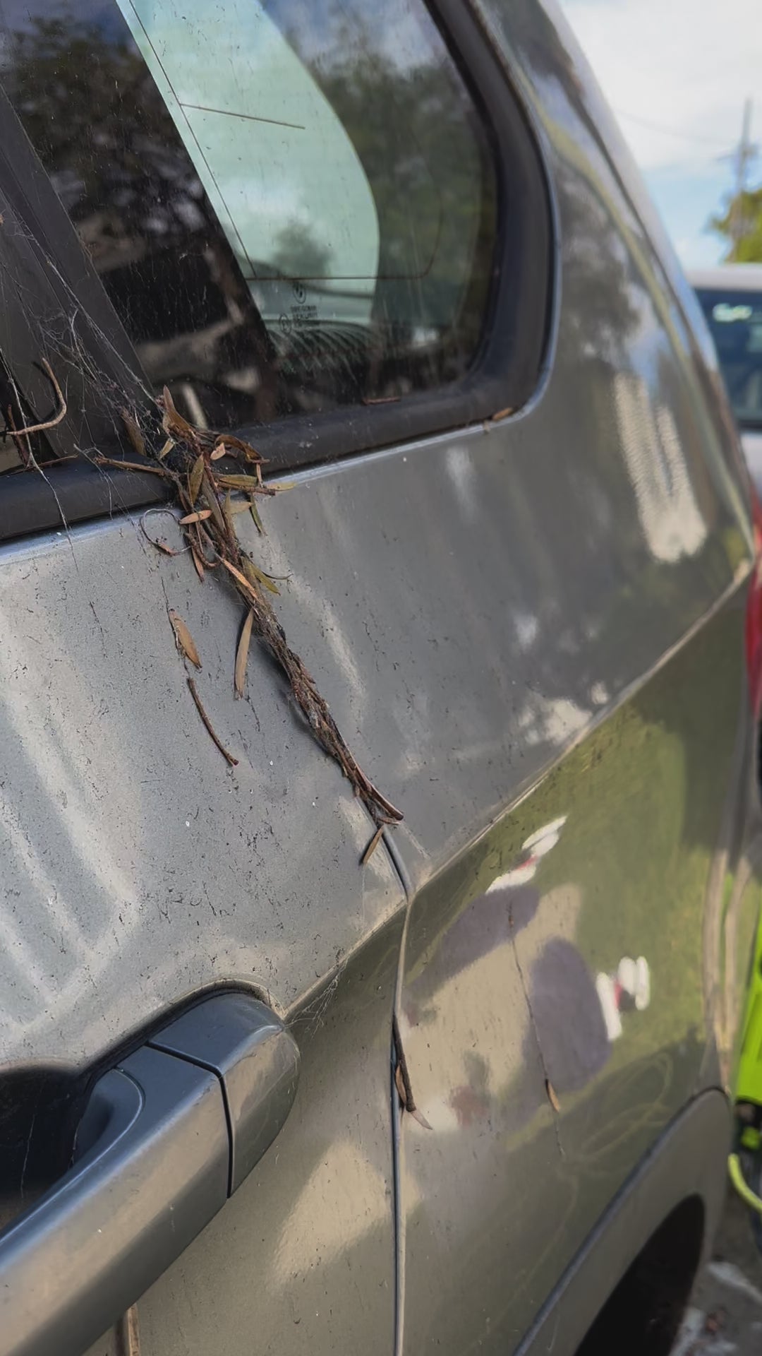 Car Exterior Detail